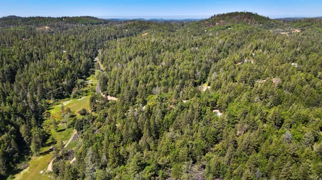 a view of a lush green field