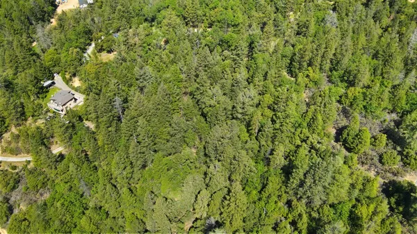 a backyard of a house with lots of trees