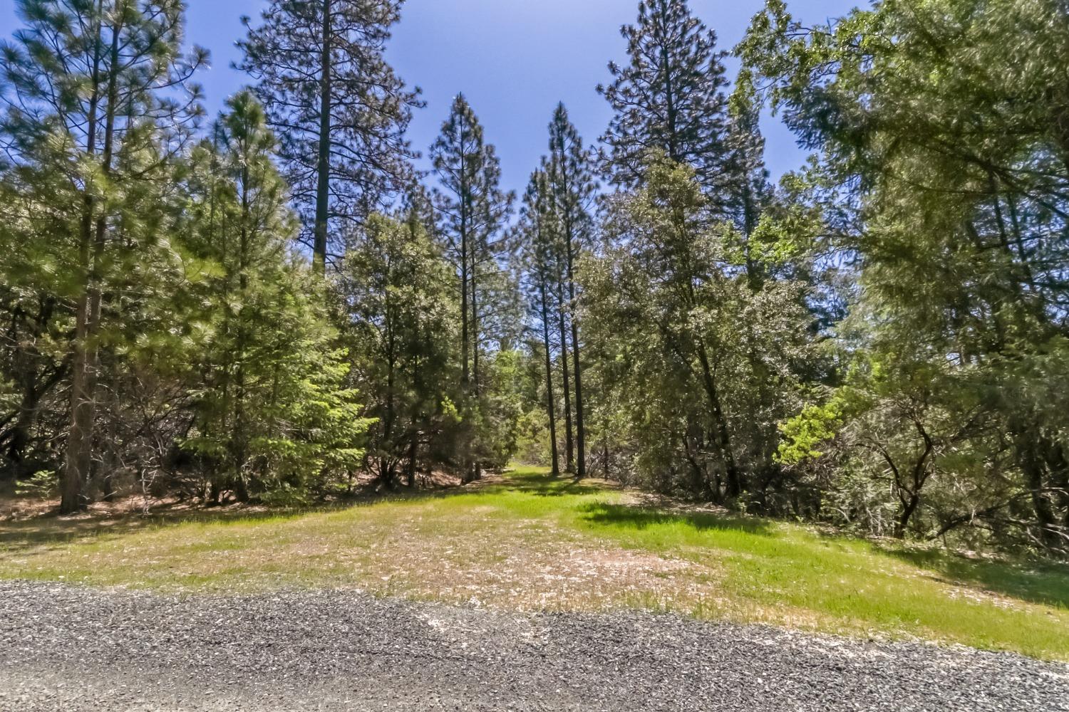 22500 Canyon Way Colfax, CA 95713 - Photo 2 of 33 a view of a yard with trees