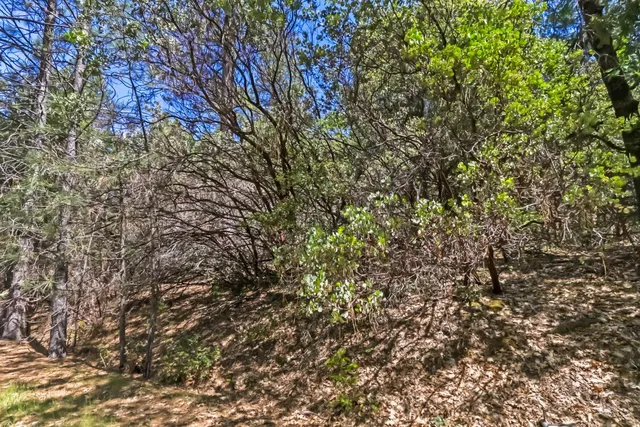 $149,000 | 22500 Canyon Way, Colfax, CA 95713