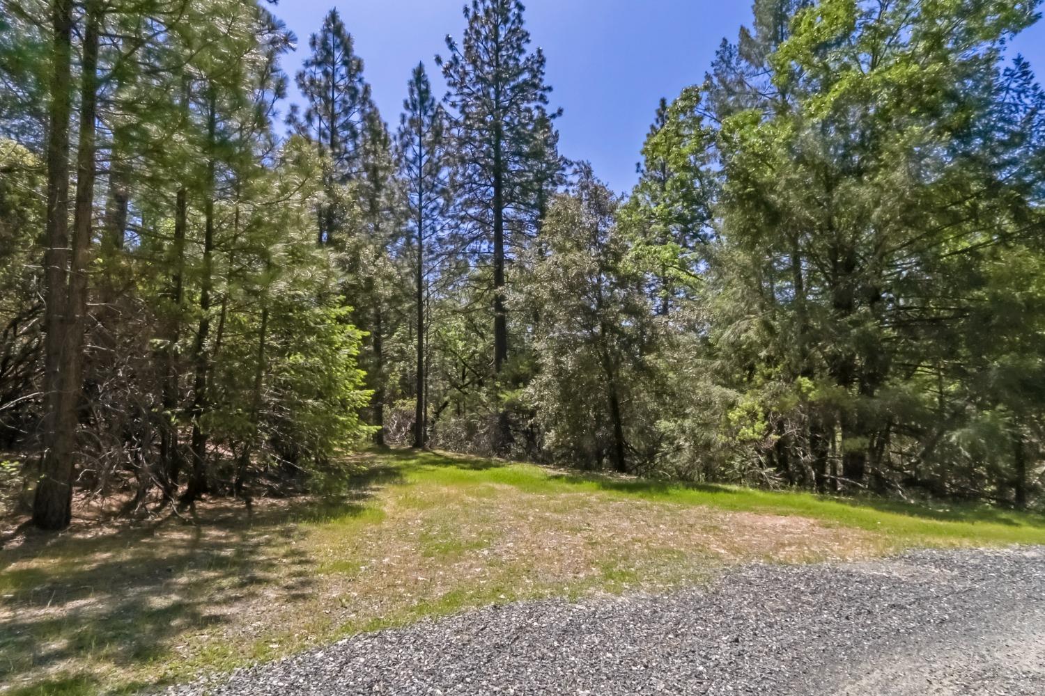 22500 Canyon Way Colfax, CA 95713 - Photo 3 of 33 a view of backyard with green space