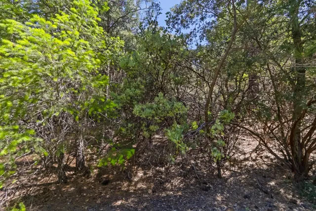 $149,000 | 22500 Canyon Way, Colfax, CA 95713