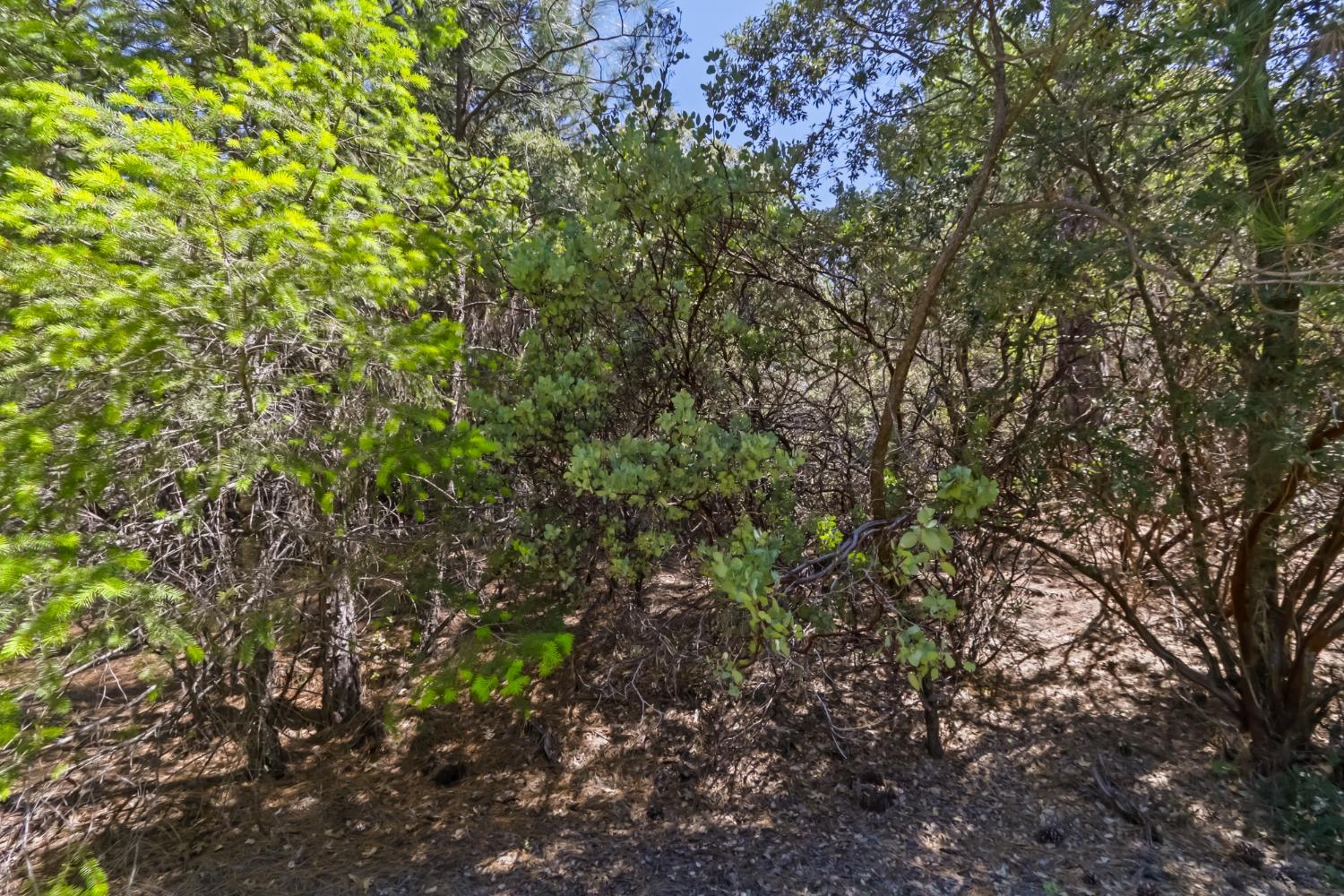 22500 Canyon Way Colfax, CA 95713 - Photo 31 of 33