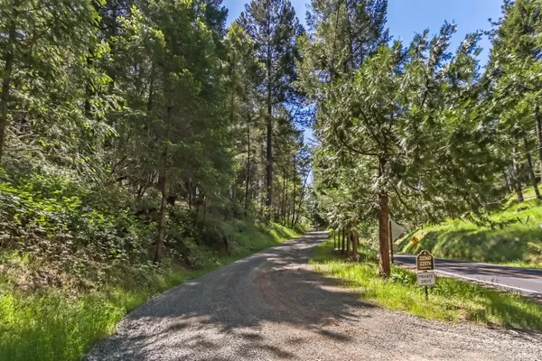 a view of a yard with plants and trees