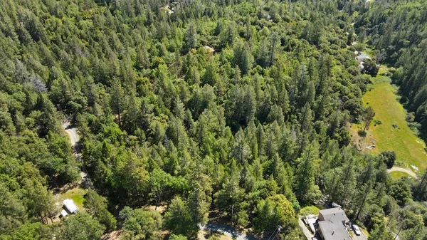 a view of a house with a lush green forest