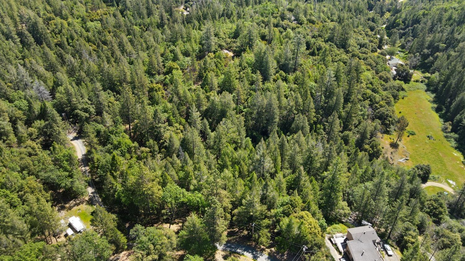 22500 Canyon Way Colfax, CA 95713 - Photo 10 of 33