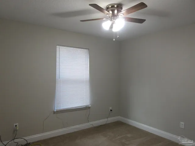 a view of a yard with trees