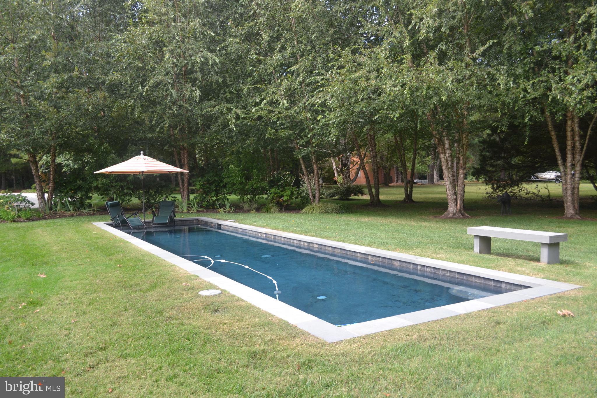 25932 Goose Neck Road Royal Oak, MD 21662 - Photo 60 of 79 Take a dip in the pool!