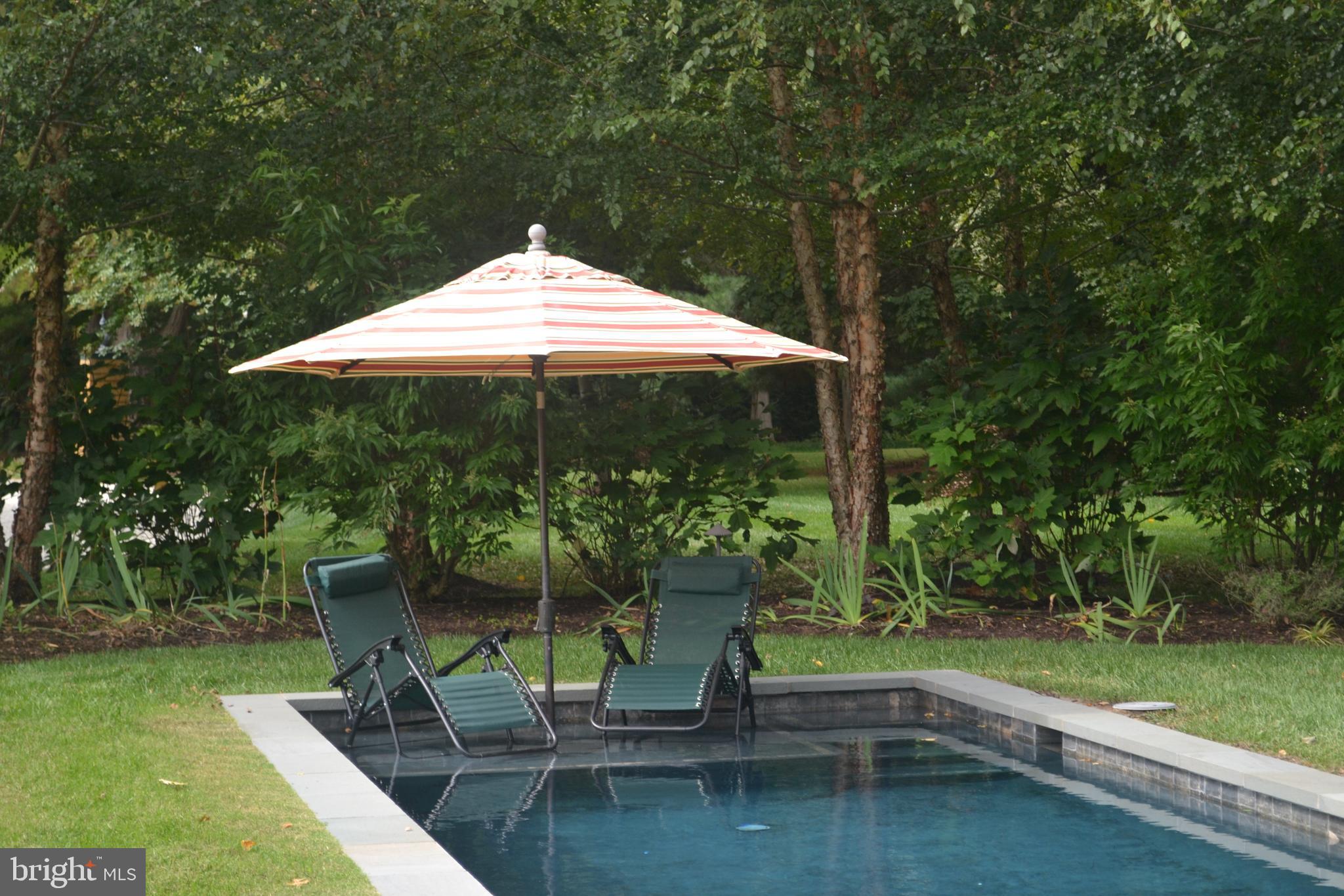 25932 Goose Neck Road Royal Oak, MD 21662 - Photo 61 of 79 Or just relax in the pool on a hot summer day!