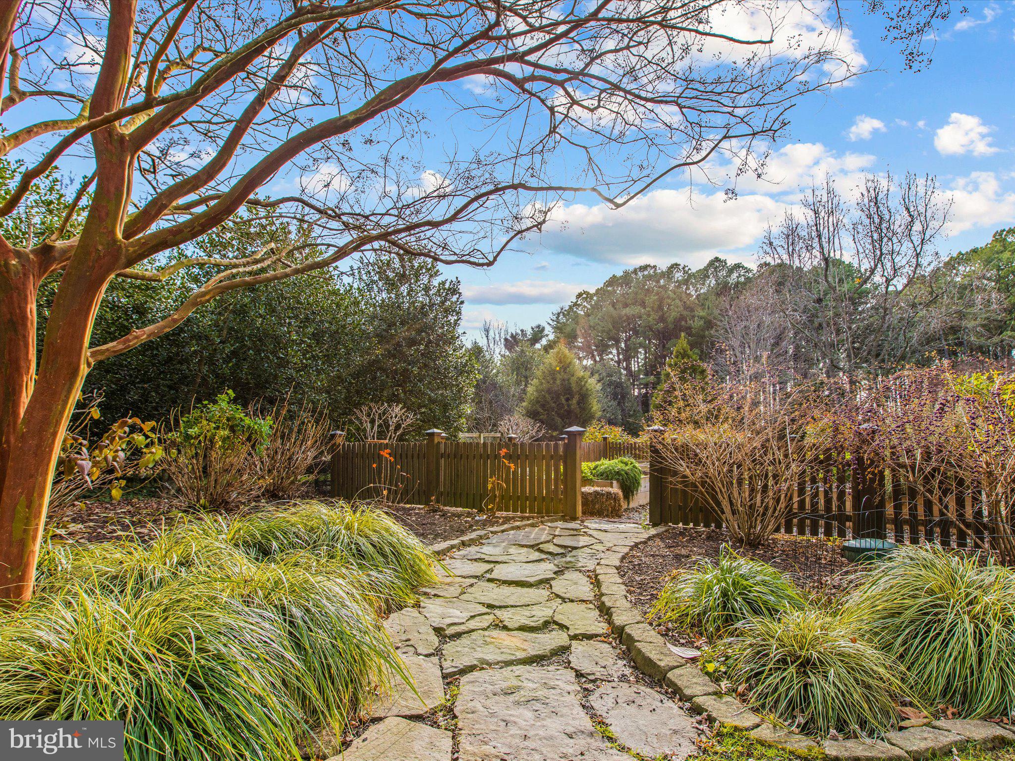 25932 Goose Neck Road Royal Oak, MD 21662 - Photo 67 of 79 The Pathway to the Garden with Raised Beds