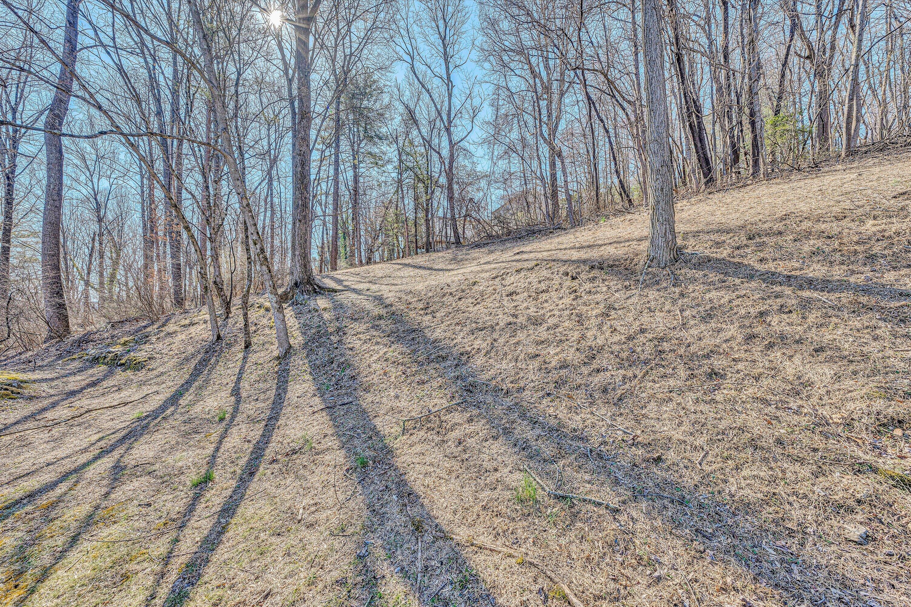 5254 Roselawn Road Roanoke, VA 24018 - Photo 33 of 38 backyard