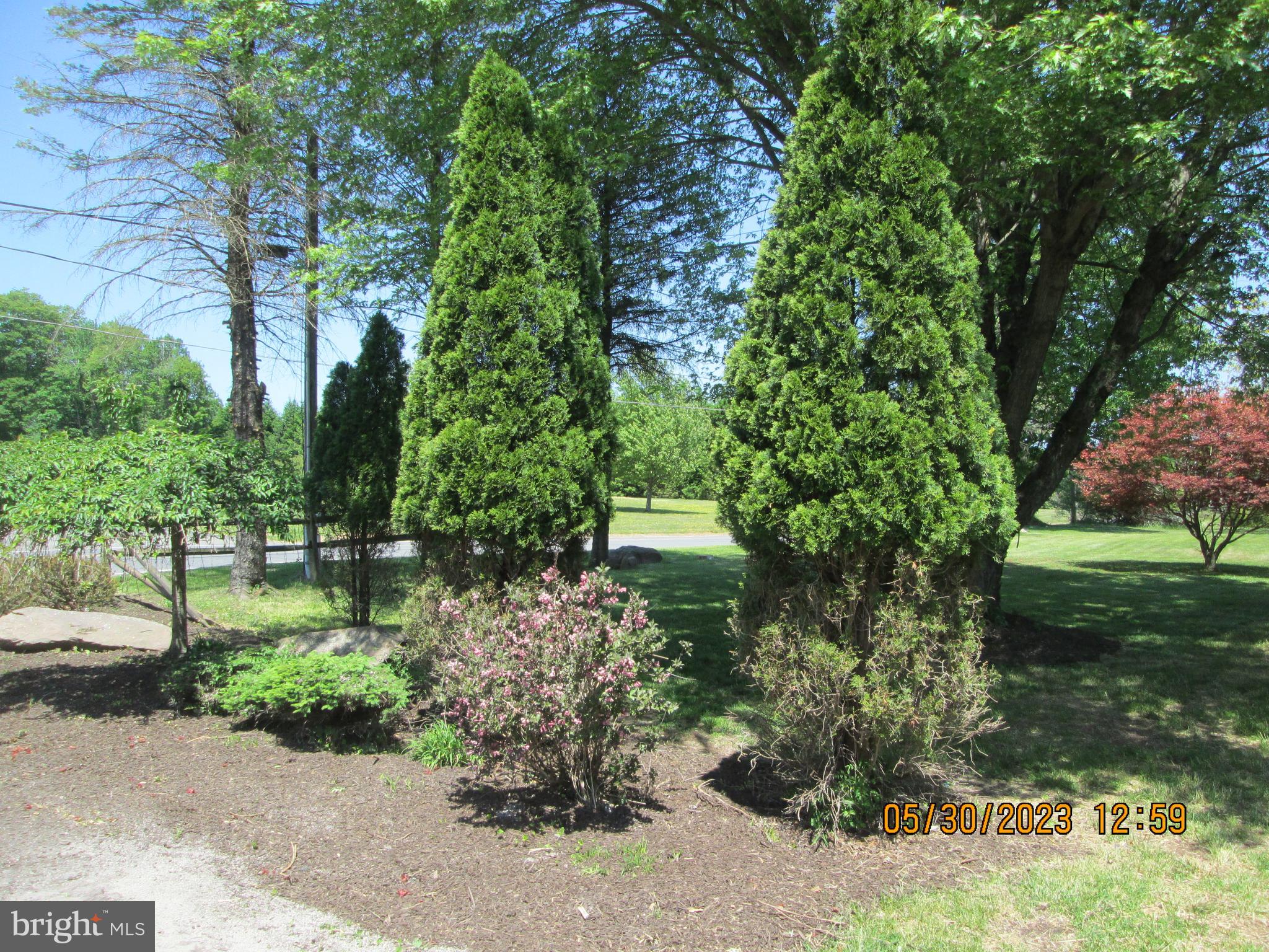 1385 Buck Mountain Road Weatherly, PA 18255 - Photo 10 of 39 Gallery Image 10