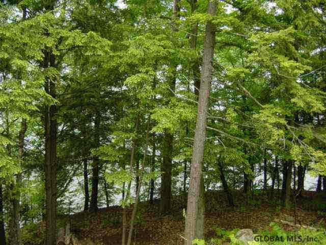 4210 South Shore Road Day, NY 12835 - Photo 1 of 1 Photo 1