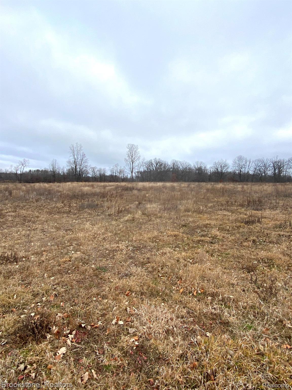 Vl Mabley Hill Rd #6 Vl Mabley Hill Road Fenton, MI 48430 - Photo 5 of 9 Gallery Image 5