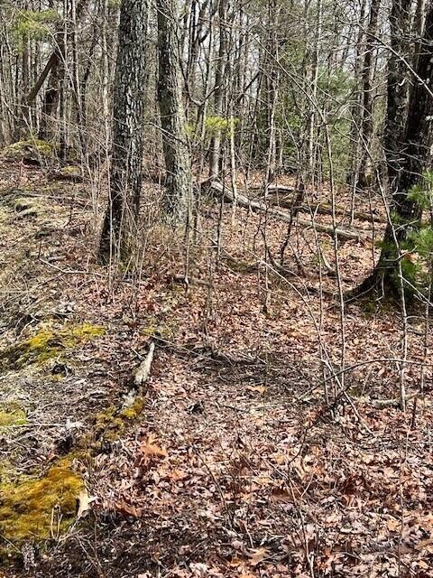 3 Tower Road Sevierville, TN 37862 - Photo 9 of 14