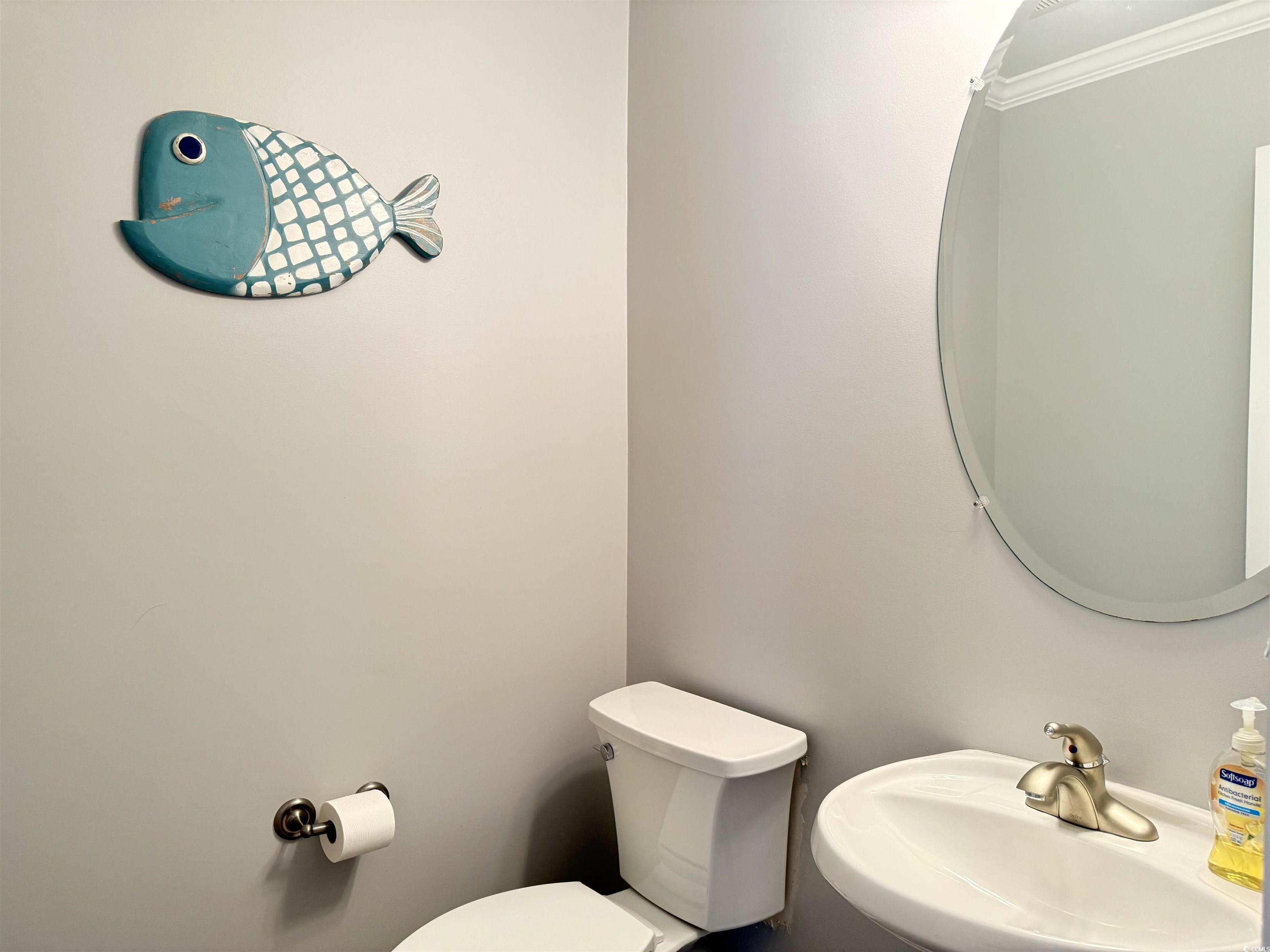 118 Georges Bay Road Murrells Inlet, SC 29576 - Photo 5 of 39 Bathroom featuring a sink and toilet