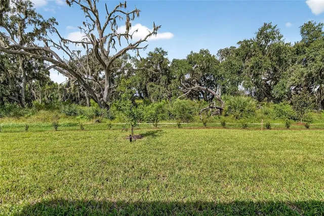 a front view of a house with a yard and potted plants