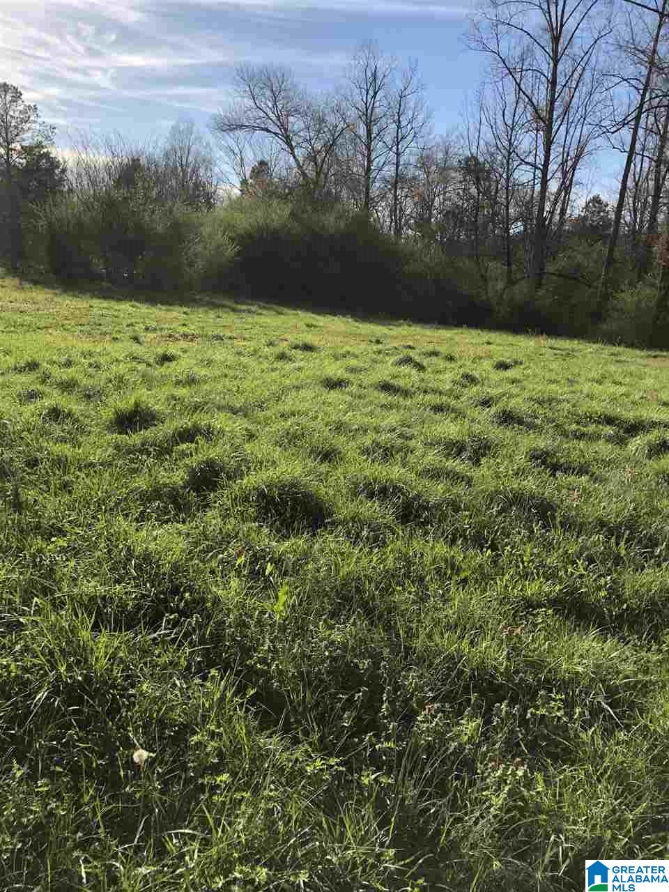 1000 Mulberry Hills Road Hayden, AL 35079 - Photo 8 of 12