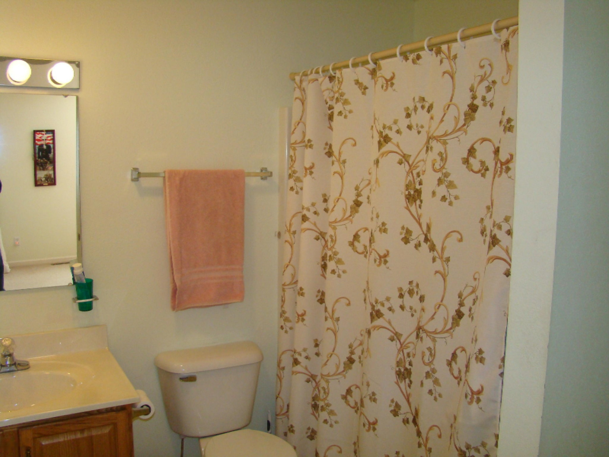 3086 River Road Sodus, MI 49126 - Photo 43 of 62 DSC05794