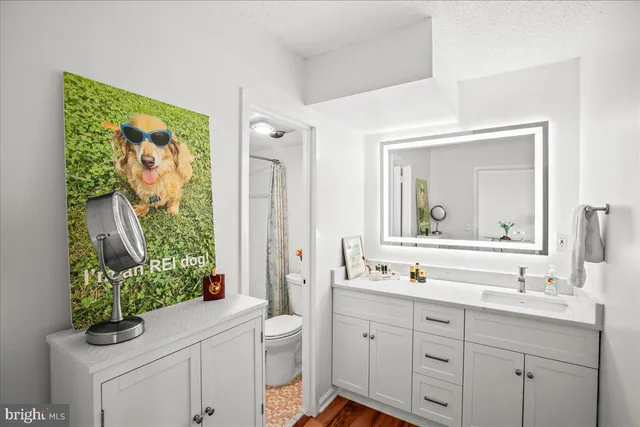 a bathroom with a toilet a sink and mirror