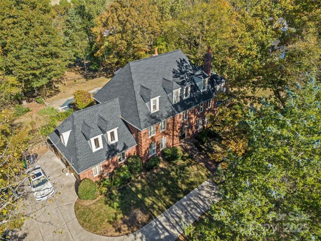 view of a tree with a yard