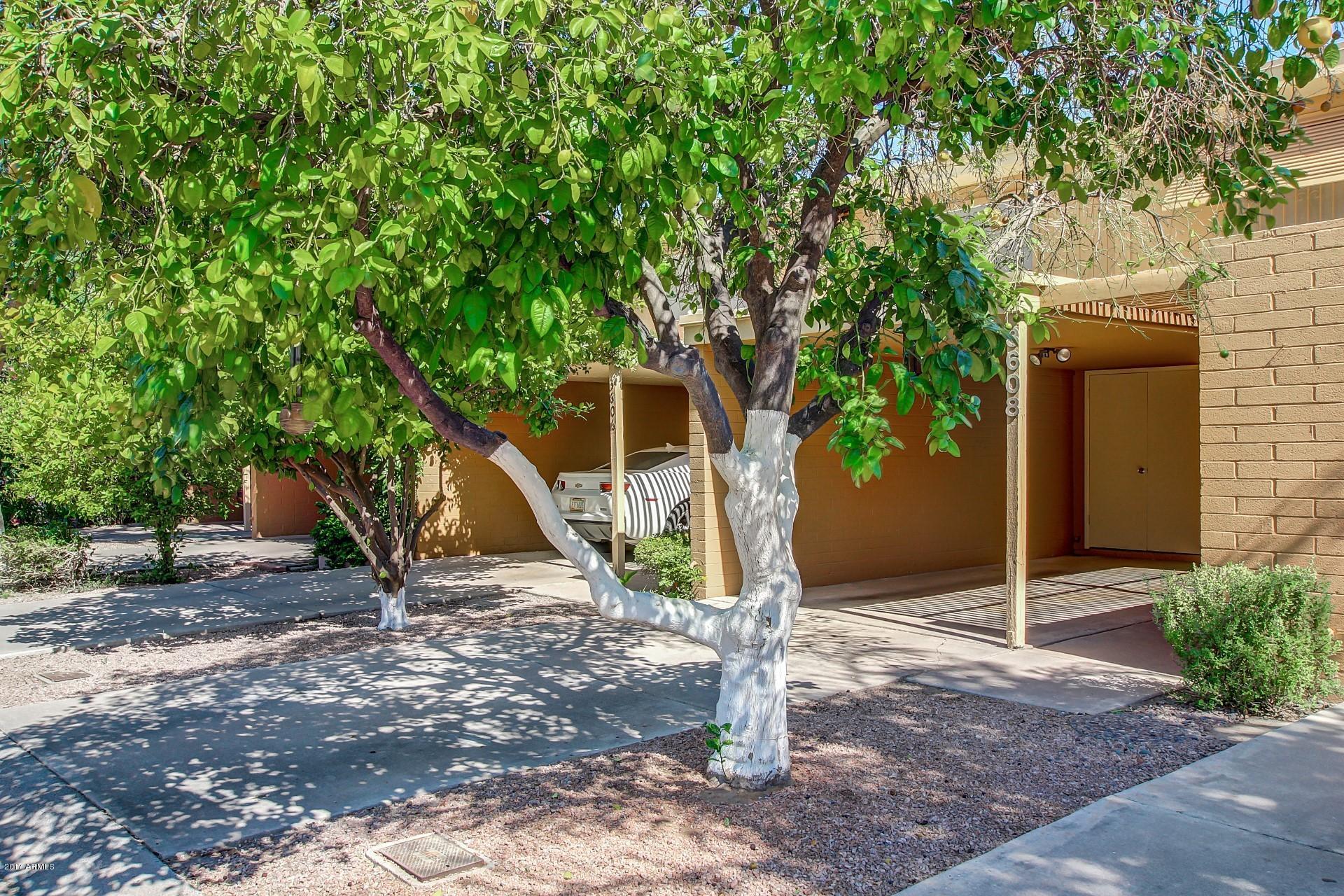 0004-3608 E Osborn Road (4)