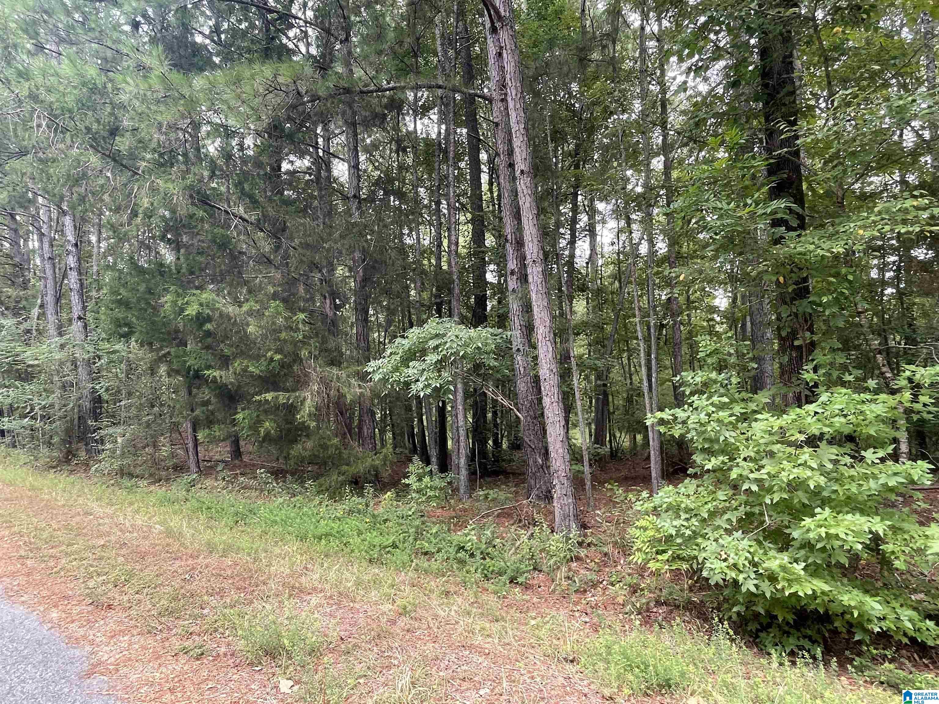 0 Paradise Point Drive Columbiana, AL 35051 - Photo 14 of 23