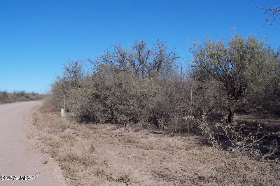 30130 West Pronghorn Ridge Road, Unit 203 Willcox, AZ 85643 - Photo 45 of 50 29