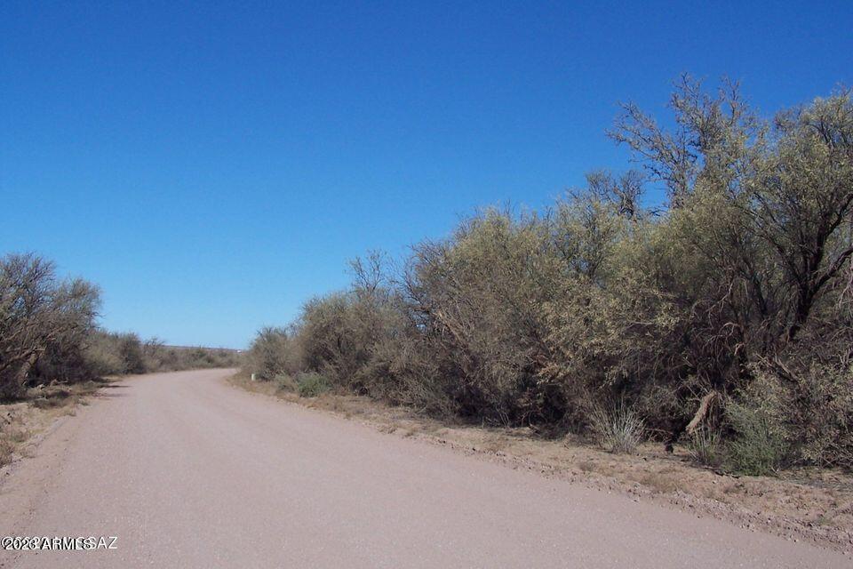 30130 West Pronghorn Ridge Road, Unit 203 Willcox, AZ 85643 - Photo 46 of 50 23