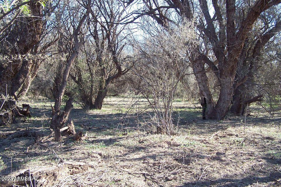 30130 West Pronghorn Ridge Road, Unit 203 Willcox, AZ 85643 - Photo 49 of 50 31