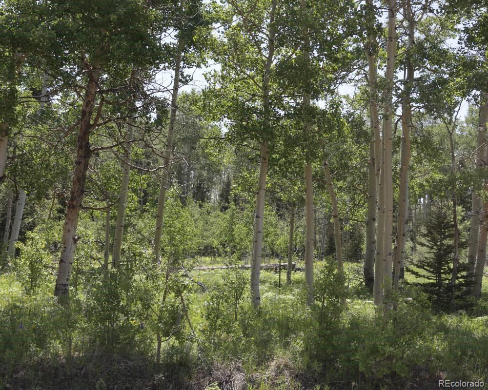3121 Ophir Creek Road Rye, CO 81069 - Photo 1 of 8 Gallery Image 1