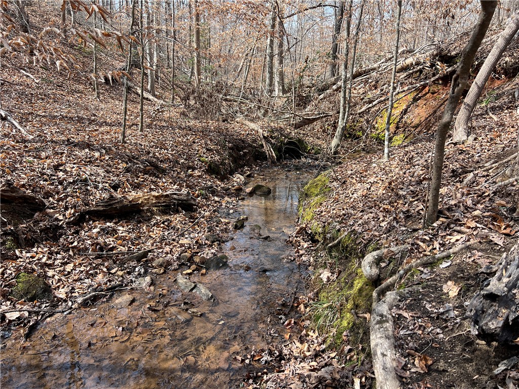 A tranquil stream meanders through a wooded landscape, offering a serene natural setting.