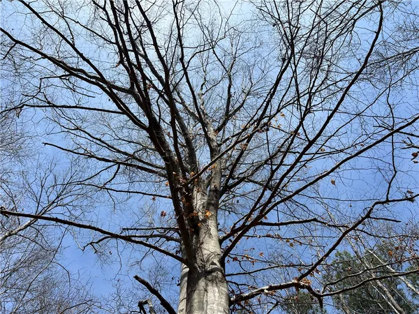 $289,000 | Tract A Cann Road, Anderson, SC 29625