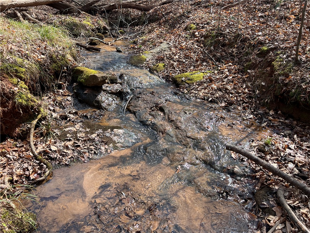 Tract A Cann Road Anderson, SC 29625 - Photo 2 of 15 A tranquil creek flows through a natural landscape, offering a serene waterscape.