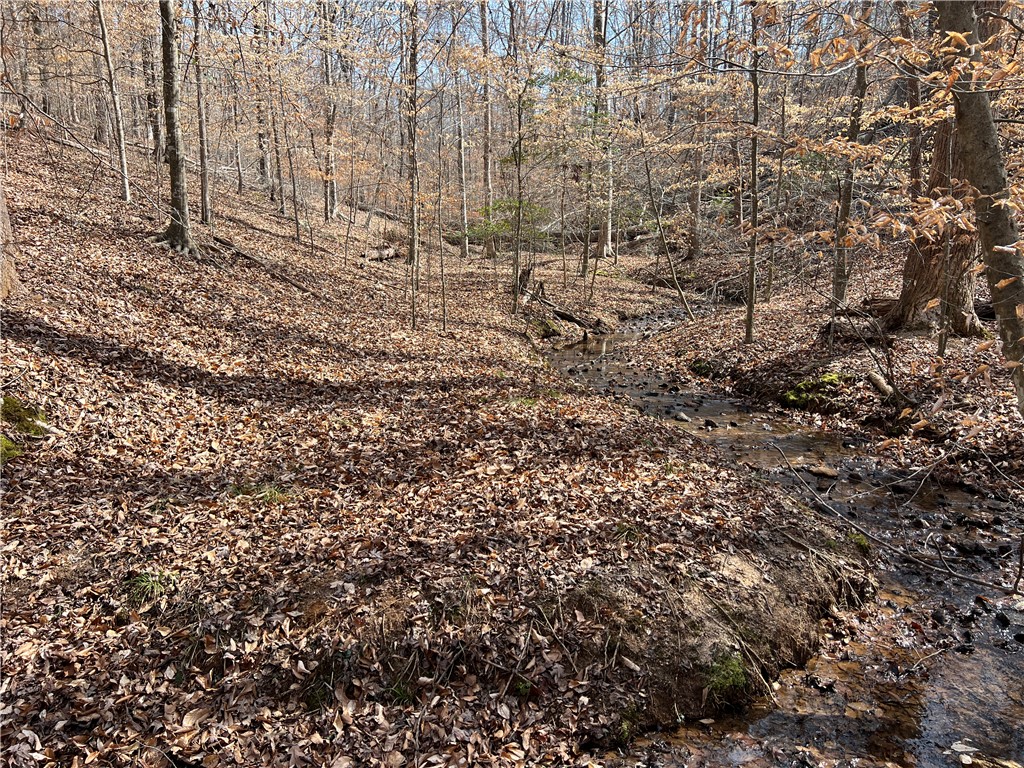 Tract A Cann Road Anderson, SC 29625 - Photo 3 of 15 A tranquil stream meanders through a wooded landscape, offering serene natural beauty.