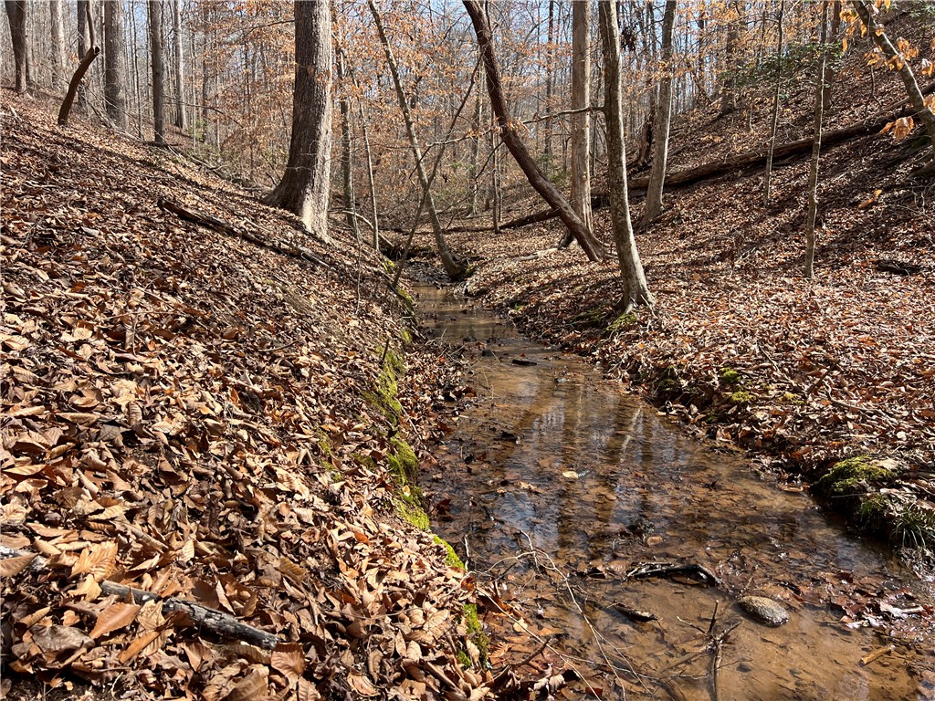 Tract A Cann Road Anderson, SC 29625 - Photo 4 of 15 Discover a tranquil stream meandering through a wooded landscape, offering serene natural beauty.
