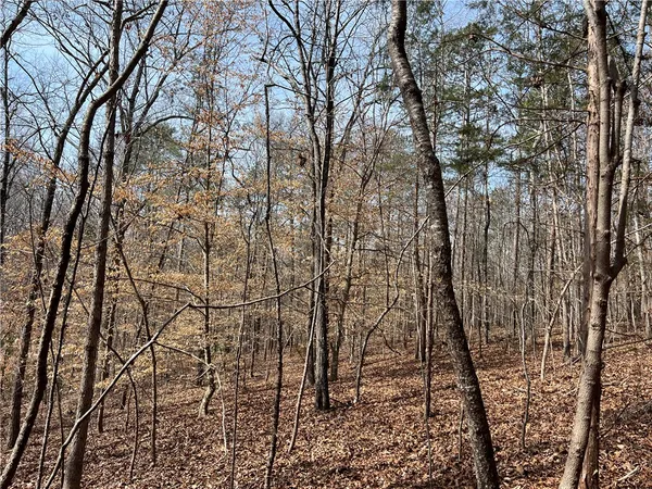 $289,000 | Tract A Cann Road, Anderson, SC 29625