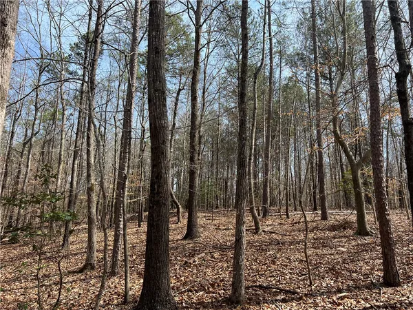 $289,000 | Tract A Cann Road, Anderson, SC 29625