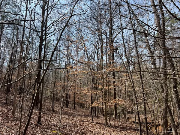 $289,000 | Tract A Cann Road, Anderson, SC 29625