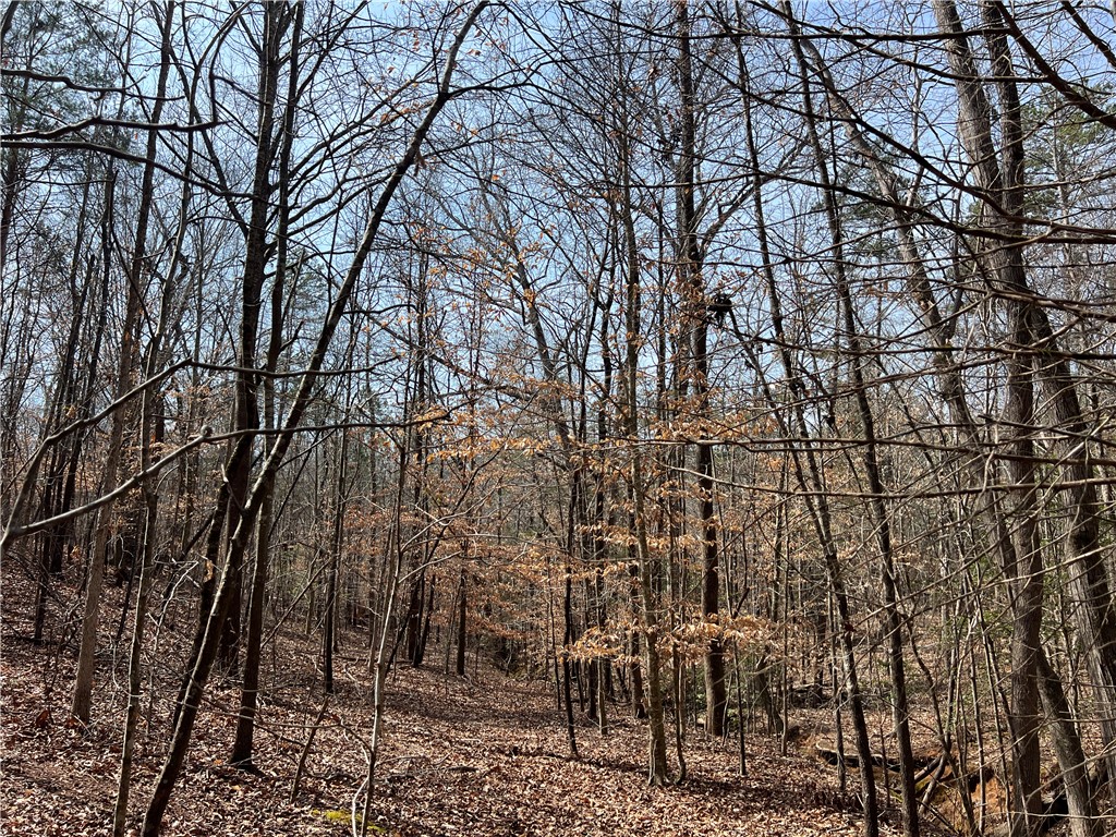 Tract A Cann Road Anderson, SC 29625 - Photo 8 of 15 This tranquil wooded lot offers a peaceful retreat for your future home.