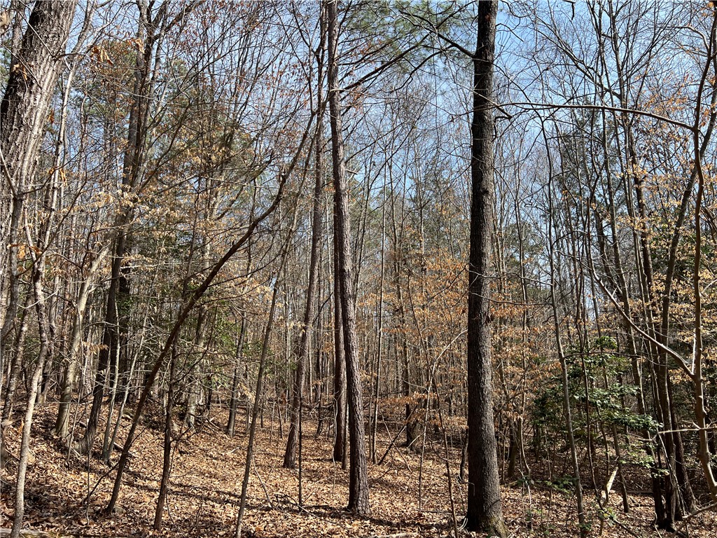Tract A Cann Road Anderson, SC 29625 - Photo 9 of 15 This tranquil wooded lot offers a peaceful retreat for your future home.