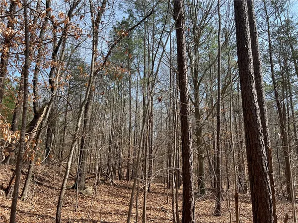 $289,000 | Tract A Cann Road, Anderson, SC 29625