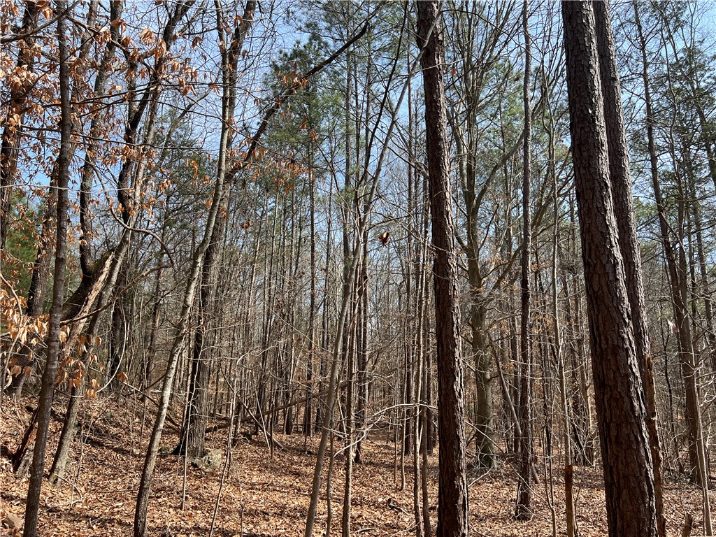 Tract A Cann Road Anderson, SC 29625 - Photo 10 of 15 This verdant expanse offers a serene woodland setting, perfect for your private sanctuary.