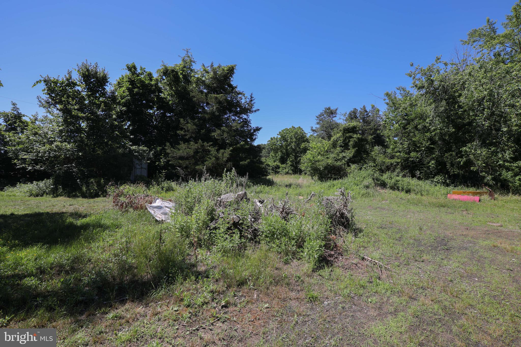 741 Heritage Road Sewell, NJ 08080 - Photo 52 of 60 a view of a green field with lots of bushes