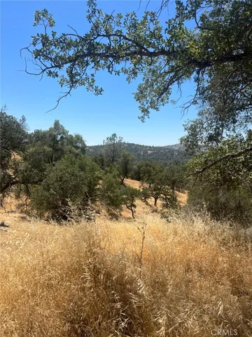 $40,000 | 0 Deep Forest Drive, Coarsegold, CA 93614