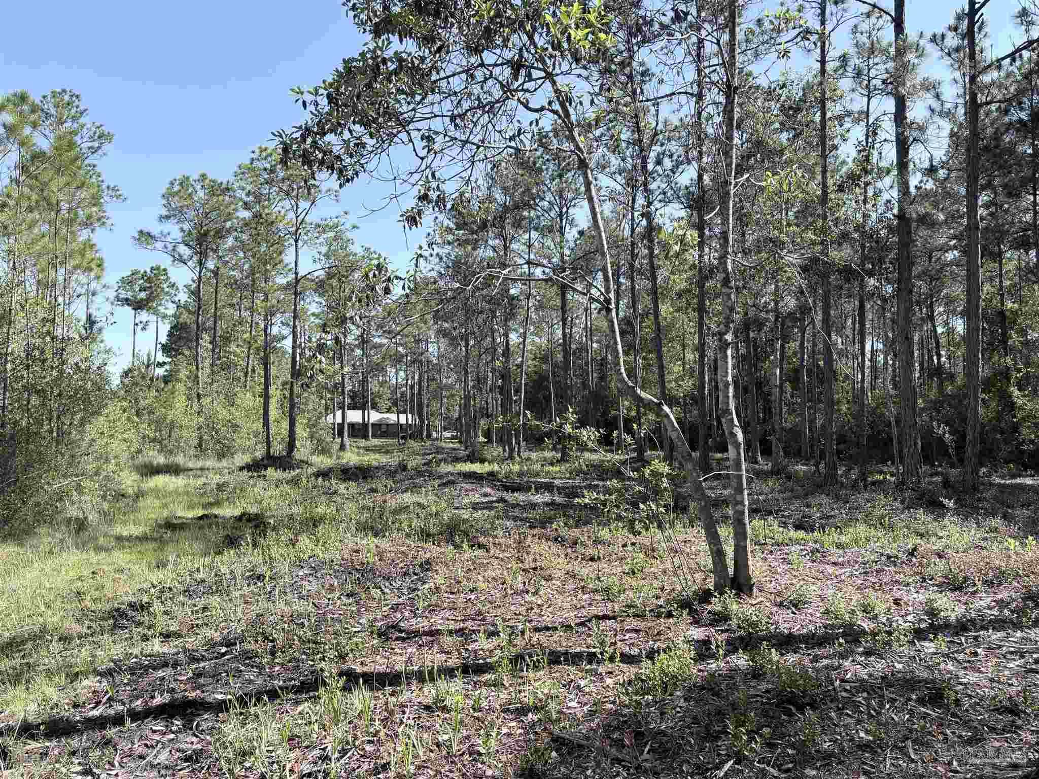 Del Monte Street Milton, FL 32583 - Photo 11 of 18