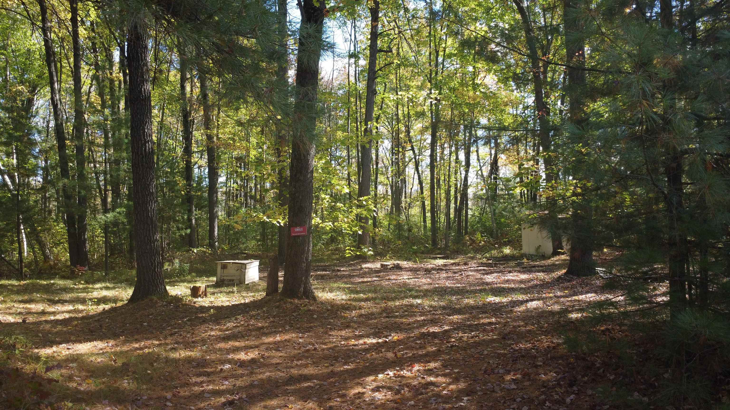 N6912 Springbrook Road Shawano, WI 54166 - Photo 4 of 12