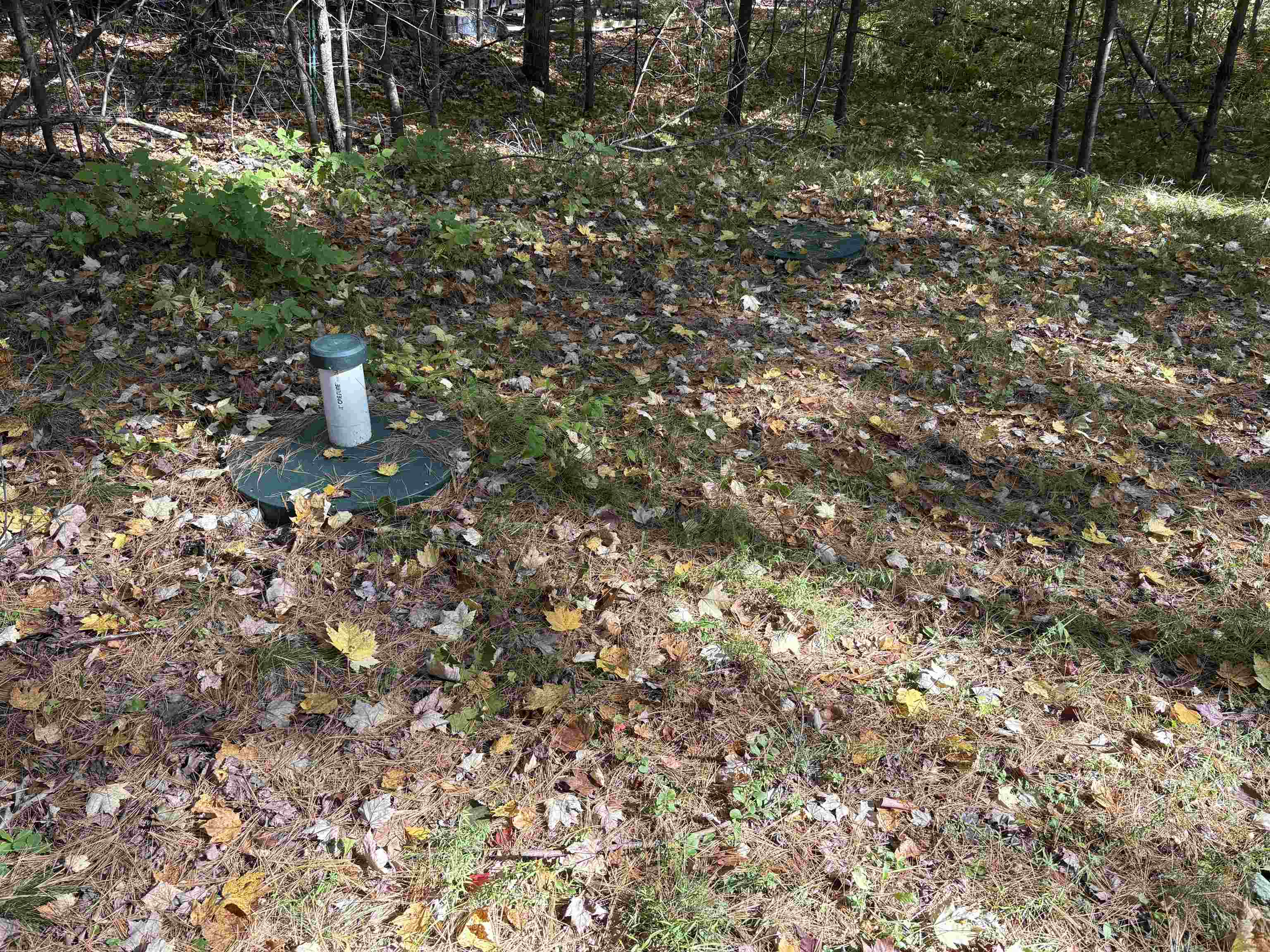 N6912 Springbrook Road Shawano, WI 54166 - Photo 5 of 12