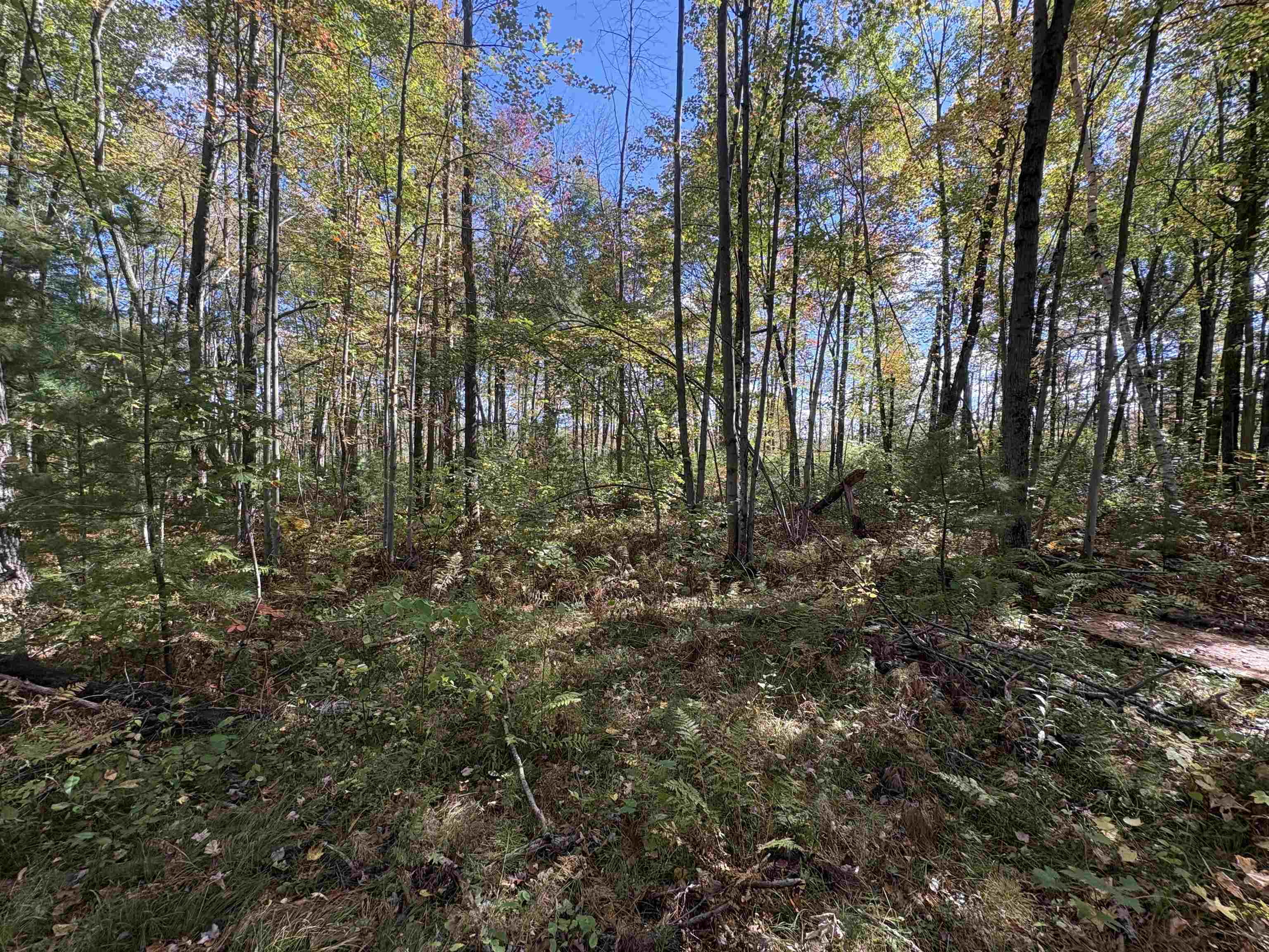 N6912 Springbrook Road Shawano, WI 54166 - Photo 7 of 12