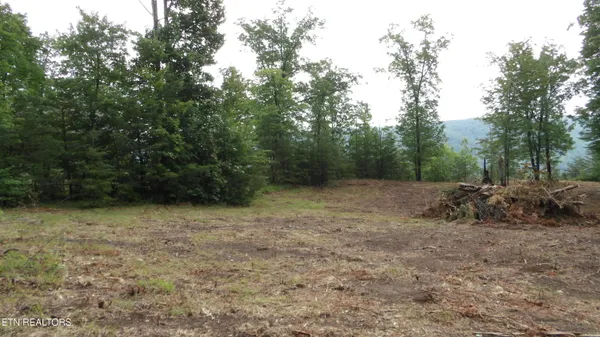 $159,000 | 442 Vly Vw Circle, Wilder, TN 38589